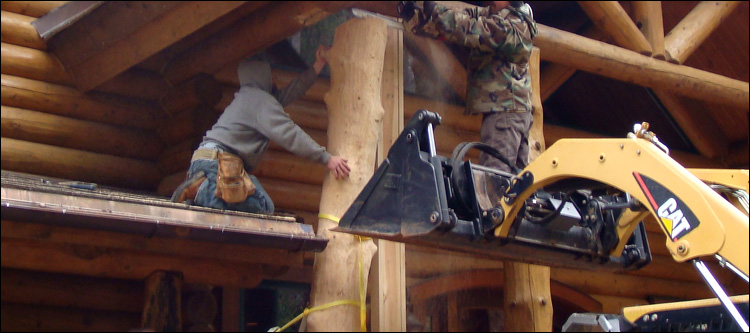 Log Home Log Replacement  Robeson County,  North Carolina