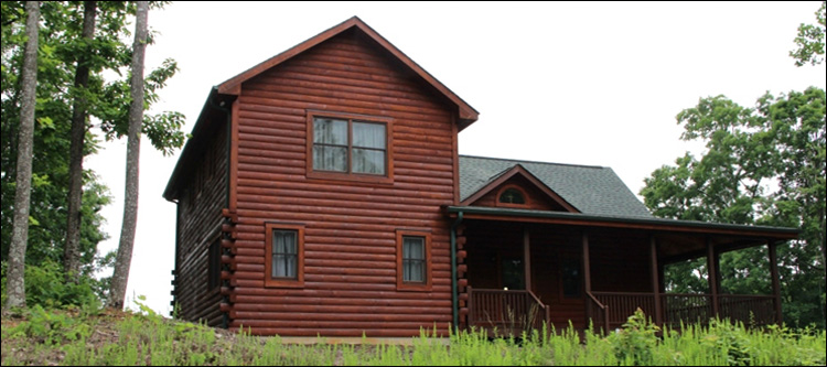 Professional Log Home Borate Application  Proctorville,  North Carolina